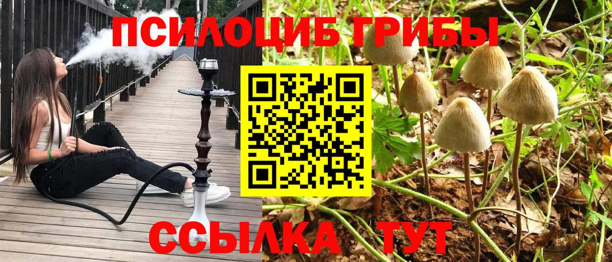 Псилоцибиновые грибы мухоморы Чехов